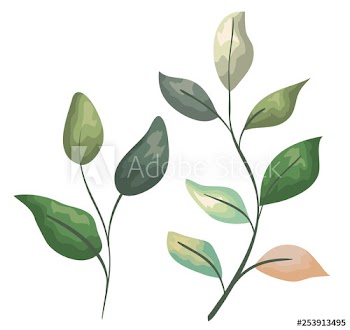 set exotic plants with leaves branches design