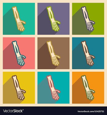 Set flat icons with long shadow bones of human vector image