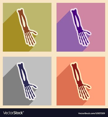 Set flat icons with long shadow bones of human vector image