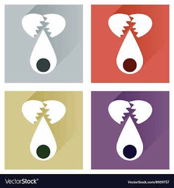 Set flat icons with long shadow broken egg vector image