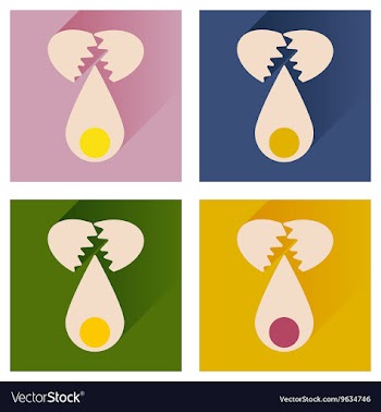 Set flat icons with long shadow broken egg vector image