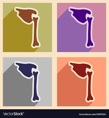Set flat icons with long shadow human bone vector image