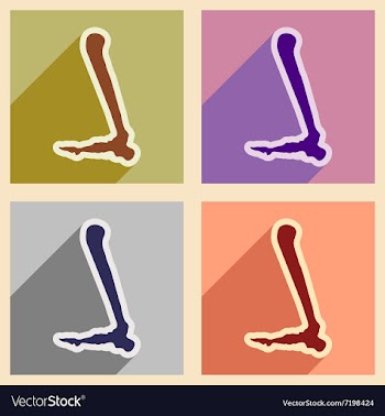 Set flat icons with long shadow Human leg bone vector image