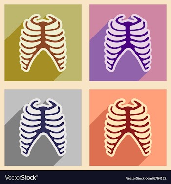 Set flat icons with long shadow human rib vector image