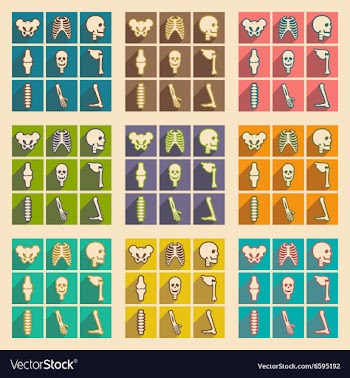 Set flat icons with long shadow human skeleton vector image