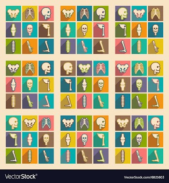 Set flat icons with long shadow human skeleton vector image