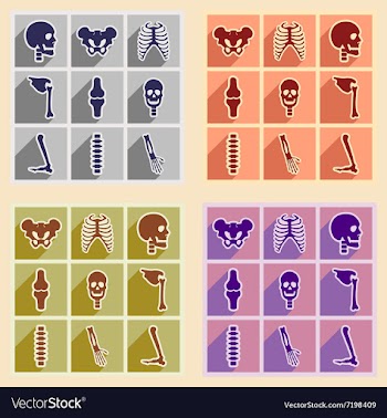 Set flat icons with long shadow human skeleton vector image