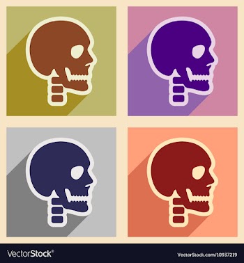 Set flat icons with long shadow human skull vector image