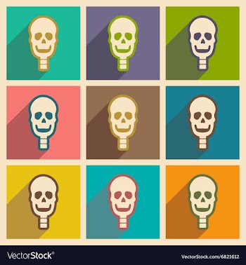 Set flat icons with long shadow human skull vector image