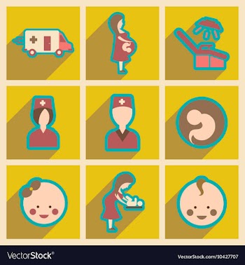 Set flat icons with long shadow Pregnancy and vector image