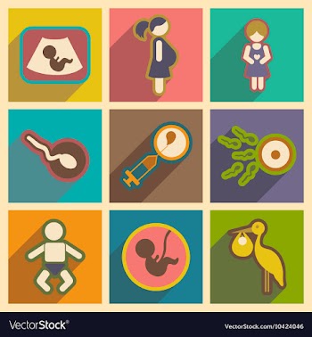 Set flat icons with long shadow pregnancy vector image