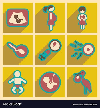 Set flat icons with long shadow pregnancy vector image