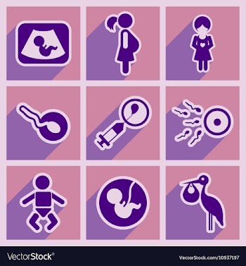 Set flat icons with long shadow pregnancy vector image