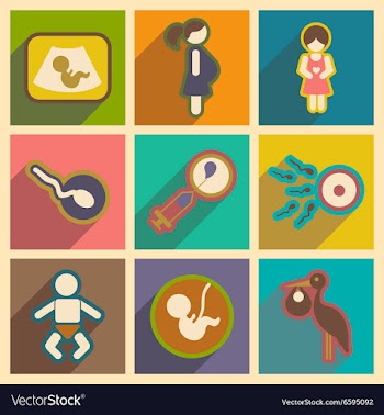 Set flat icons with long shadow pregnancy vector image