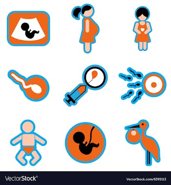 Set flat icons with long shadow pregnancy vector image