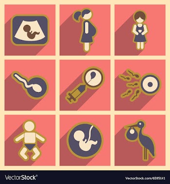 Set flat icons with long shadow pregnancy vector image