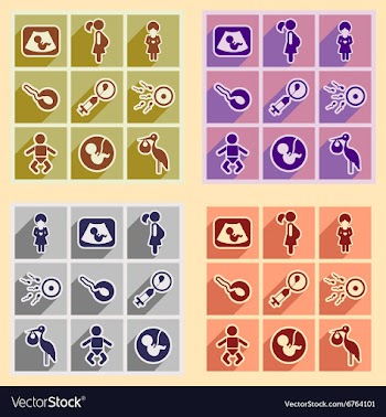 Set flat icons with long shadow pregnancy vector image