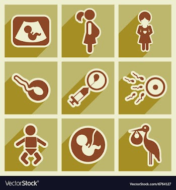 Set flat icons with long shadow pregnancy vector image