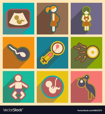 Set flat icons with long shadow pregnancy vector image