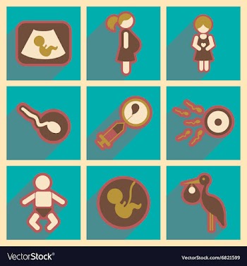 Set flat icons with long shadow pregnancy vector image