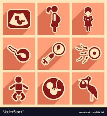 Set flat icons with long shadow pregnancy vector image