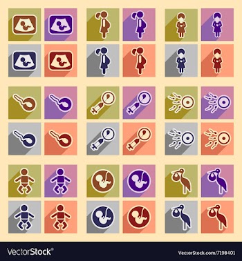 Set flat icons with long shadow pregnancy vector image