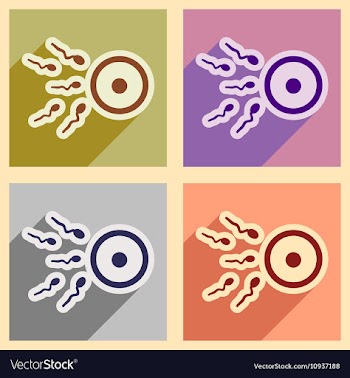 Set flat icons with long shadow sperm and egg vector image