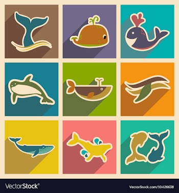 Set flat icons with long shadow whales vector image
