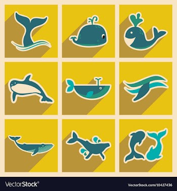 Set flat icons with long shadow whales vector image