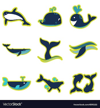 Set flat icons with long shadow whales vector image