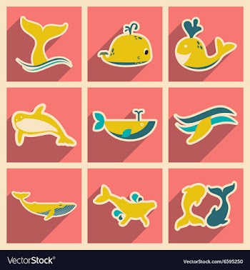 Set flat icons with long shadow whales vector image