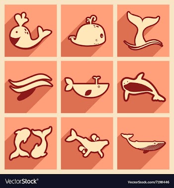 Set flat icons with long shadow whales vector image