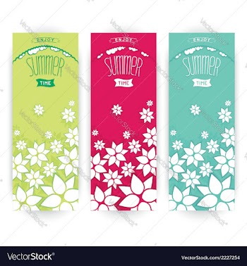 Set flowers summer banner vector image