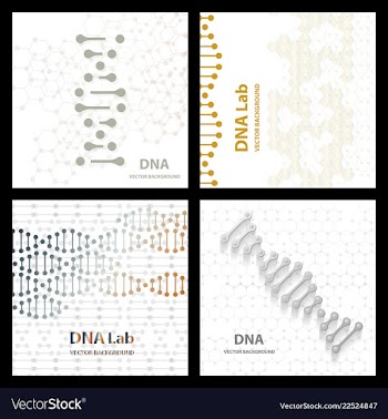Set flyer brochure size a4 templatebanner vector image