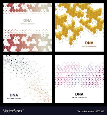 Set flyer brochure size a4 templatebanner vector image