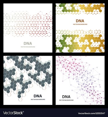 Set flyer brochure size a4 templatebanner vector image