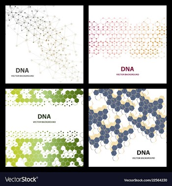 Set flyer brochure size a4 templatebanner vector image