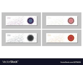 Set flyer brochure size a4 templatebanner vector image