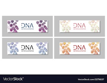 Set flyer brochure size a4 templatebanner vector image