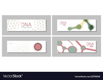 Set flyer brochure size a4 templatebanner vector image