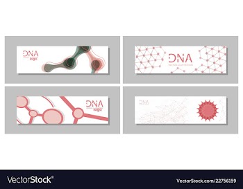 Set flyer brochure size a4 templatebanner vector image