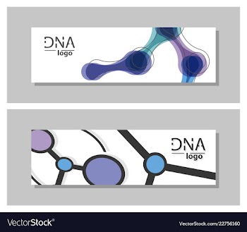 Set flyer brochure size a4 templatebanner vector image