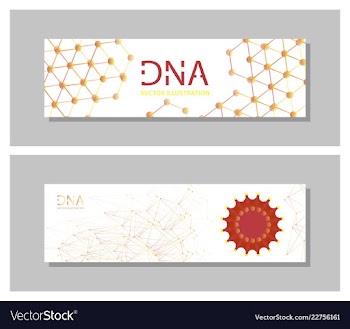 Set flyer brochure size a4 templatebanner vector image