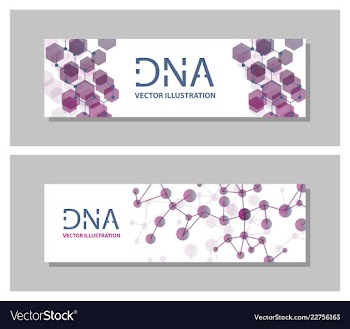 Set flyer brochure size a4 templatebanner vector image