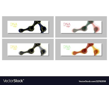 Set flyer brochure size a4 templatebanner vector image
