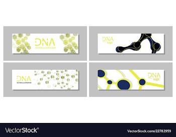 Set flyer brochure size a4 templatebanner vector image