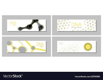 Set flyer brochure size a4 templatebanner vector image
