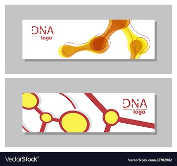 Set flyer brochure size a4 templatebanner vector image