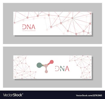 Set flyer brochure size a4 templatebanner vector image