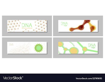 Set flyer brochure size a4 templatebanner vector image